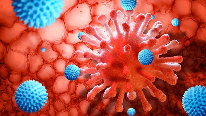 Illustration of antibodies attacking a virus cell.