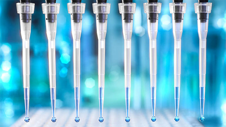 Multichannel pipette dropping liquid into a 96 well plate.