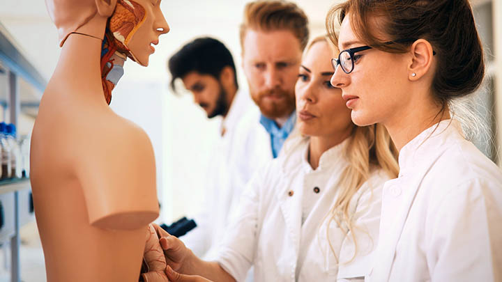 Medical students examining anatomical model in classroom.