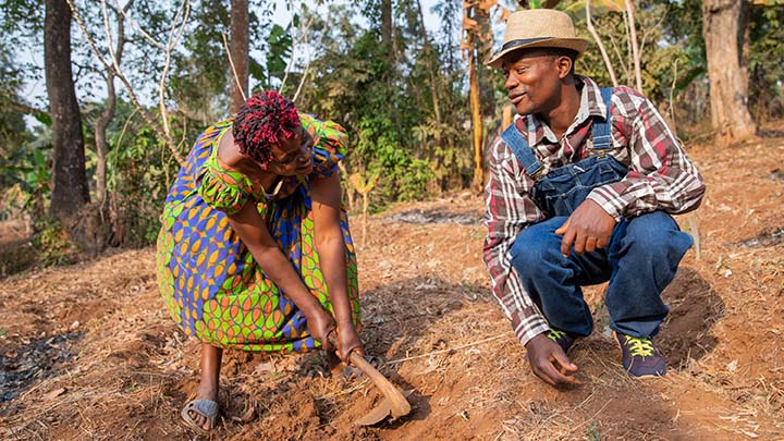 Two African farmers talking while hoeing the fields.