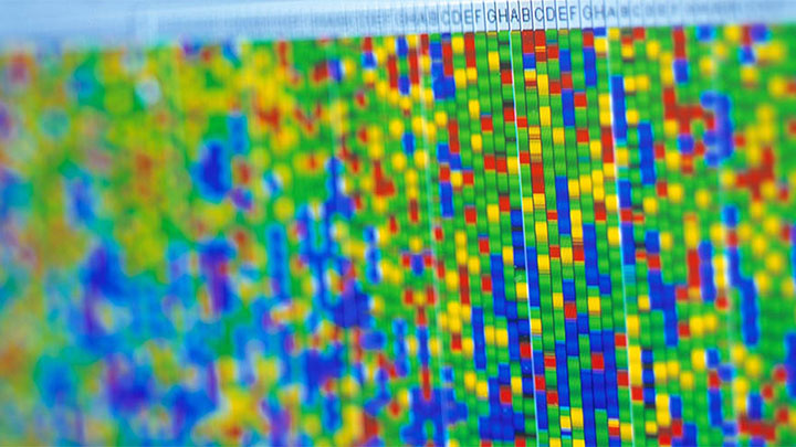 Genetic map displayed on a computer screen.