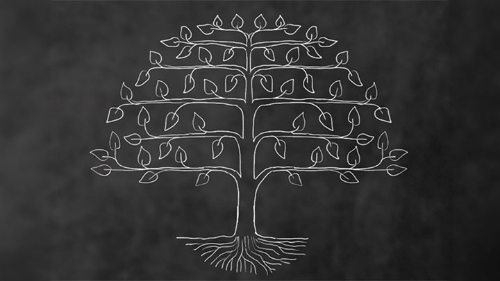 Black and white line illustration representing a tree of life.