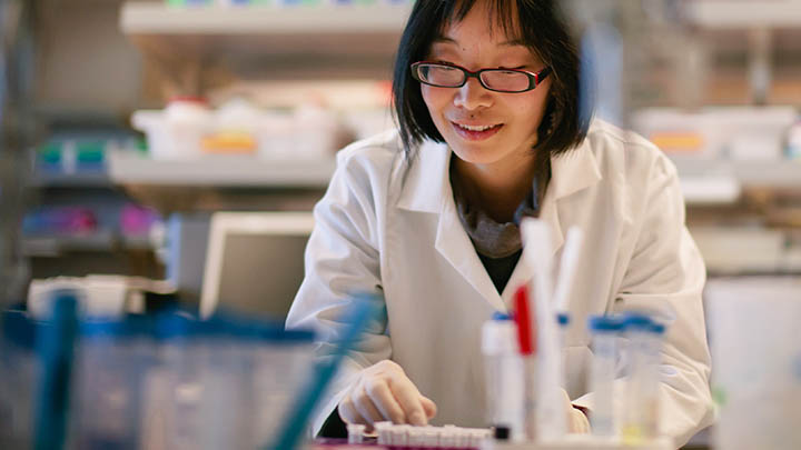 A researcher working on an experiment in the lab.