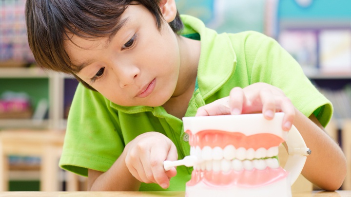 A boy learning to clean teeth using a model.