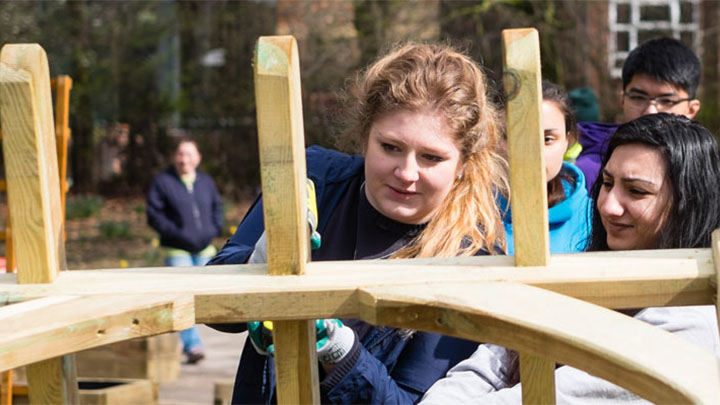 Students working together to build a wooden pergola.