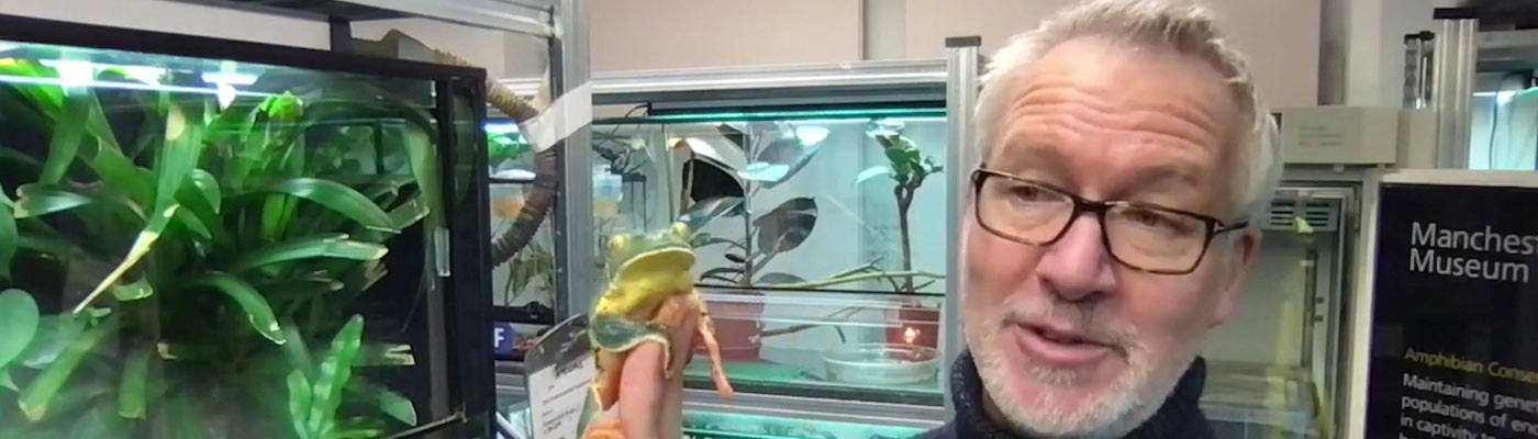 Andrew Gray at the Manchester Museum with a Sylvia's frog.