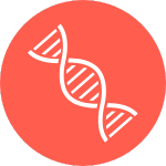 An icon of a DNA strand.