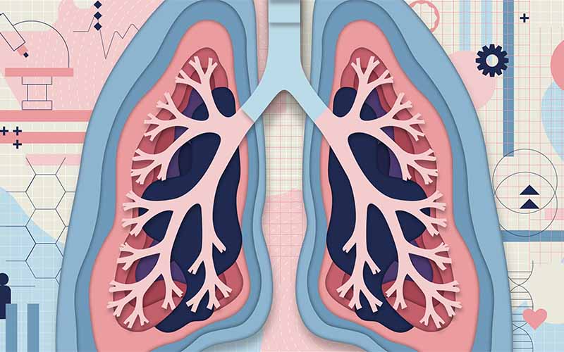 A healthcare worker examining lung x-rays.