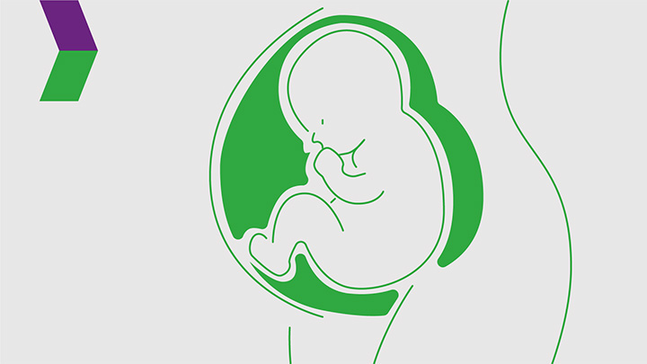 An illustration of a baby growing inside a woman's womb.