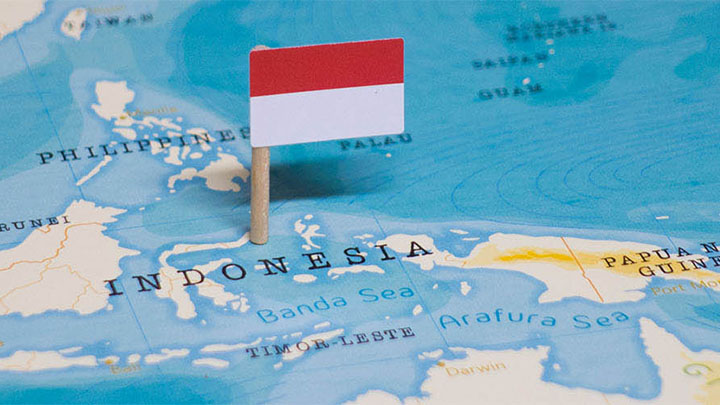 Picture of a map with a marker showing the location of Indonesia.