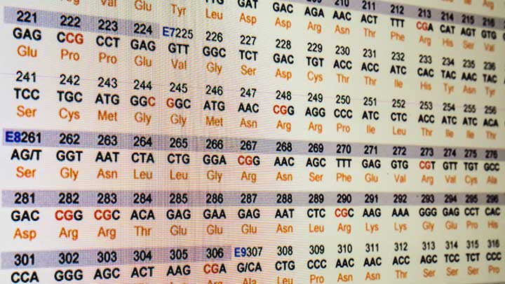 The sequence of amino acids in the protein molecule.