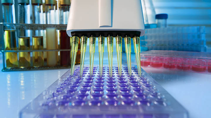 Multi-channel pipette loading biological samples in a microplate.