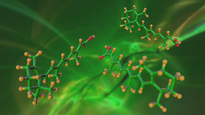 Molecular model of retinoic acid.