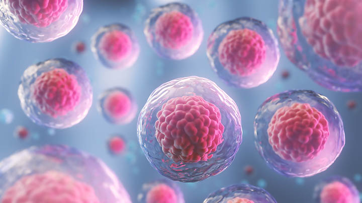 3d illustration of human stem cells.