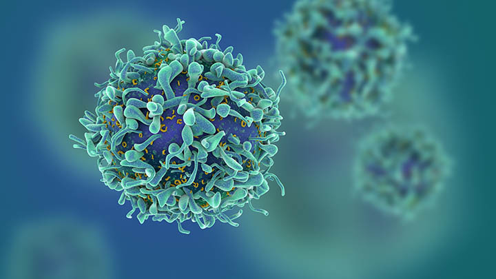 3d illustration of T cells.
