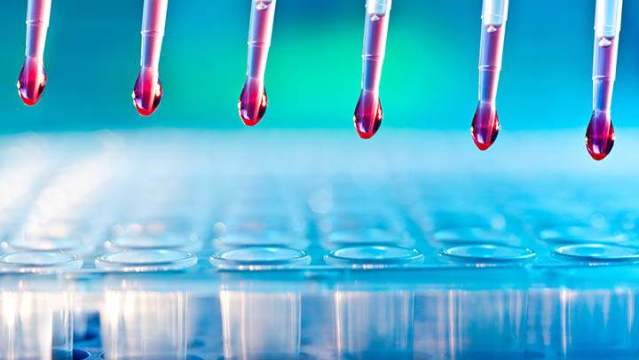 Loading reaction mixture into 96-well plate with multichannel pipette.