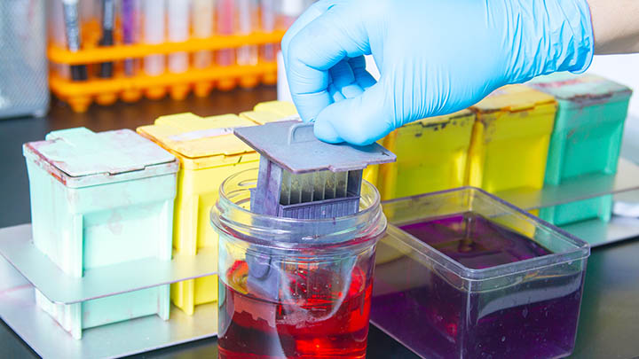 A technician prepares histology sections.