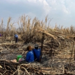 Thai sugarcane workers resting.