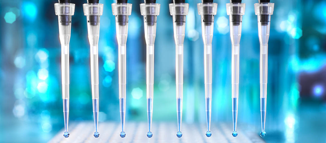 Multichannel pipette dropping liquid into a 96 well plate.