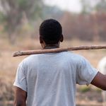 The back of a farmer holding a stick.