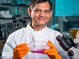 Image: placeholder for now