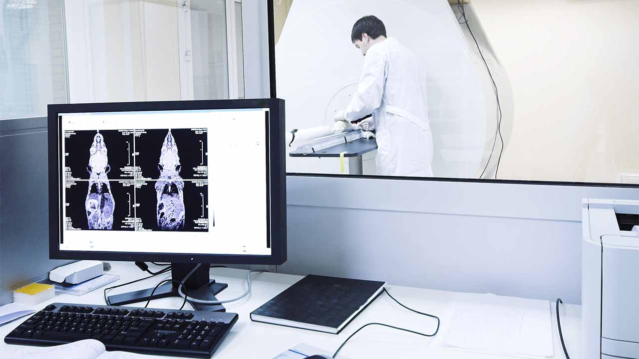 Placeholder; for now