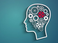 Image: placeholder for now