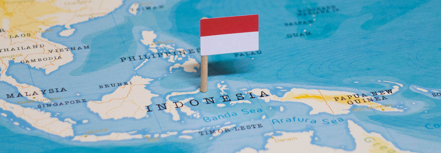 Picture of a map with a marker showing the location of Indonesia.