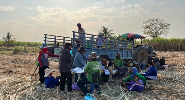 Thai sugarcane workers.