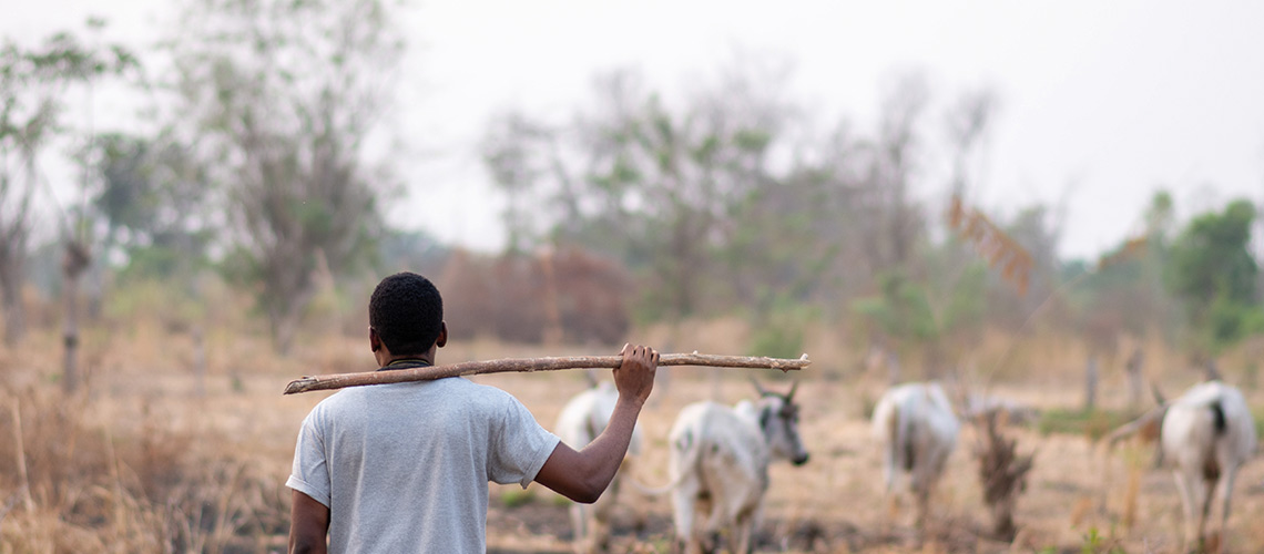 Spotlight on Kenya Banner