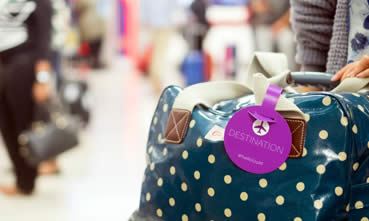 Luggage at airport arrivals.