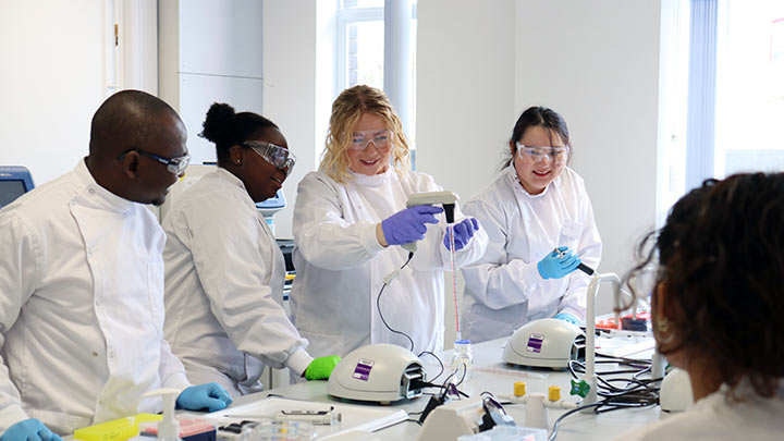 Team working in a lab