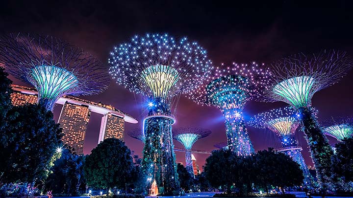 Gardens by the Bay in Singapore at night.