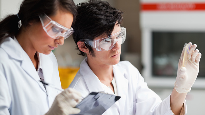 Two researchers analysing a sample in a petri dish.