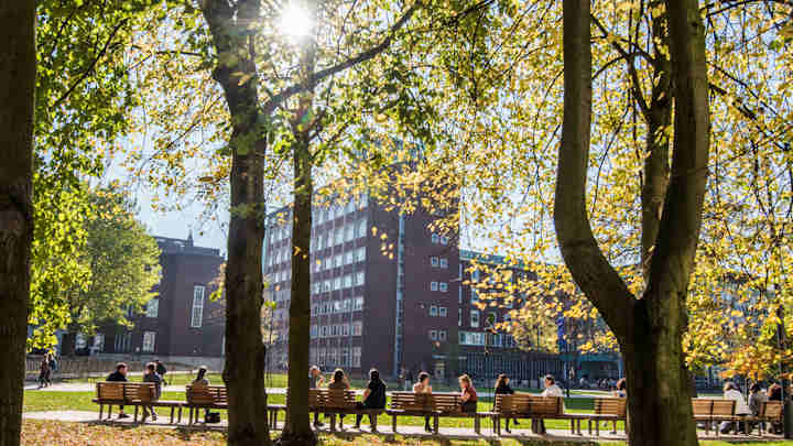 A photo of Brunswick Park and Simon Building in the sunshine.