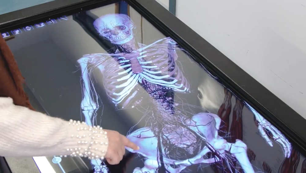A student pointing at an image of a skeleton on an anatomage table.