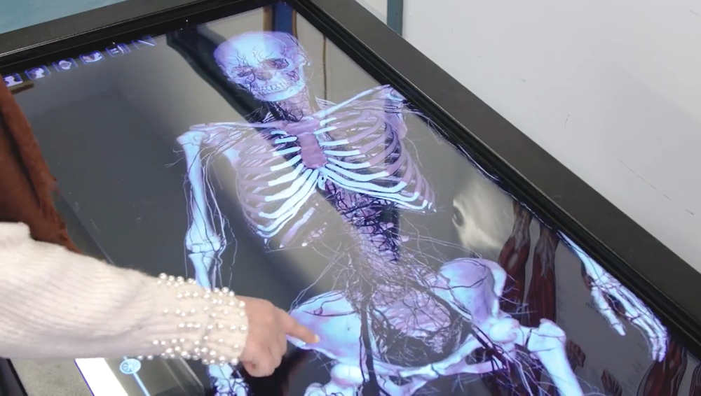 A student pointing at an image of a skeleton on an Anatomage table.