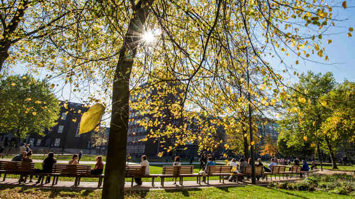 Students sitting on benches in Brunswick Park.