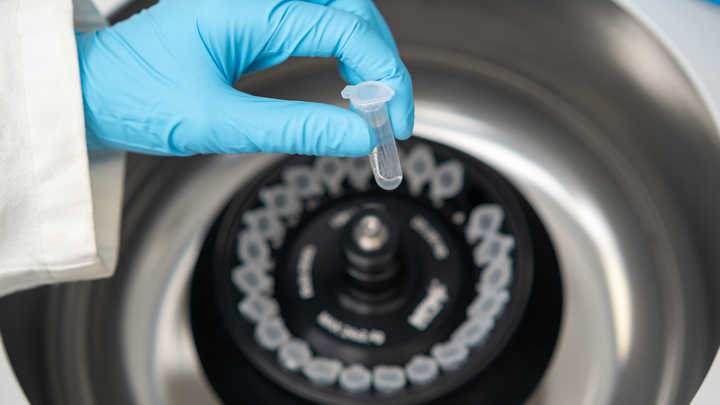 A researcher placing microcentrifuge tubes into a centrifuge.