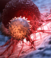 3d rendered medically accurate illustration of white blood cells attacking a cancer cell.