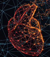An illustration of a human heart made out of data nodes.