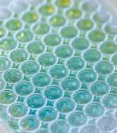 A set of test tubes with a green hue