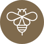 An icon of a bee on a gold background.