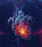 An illustration of a heart.