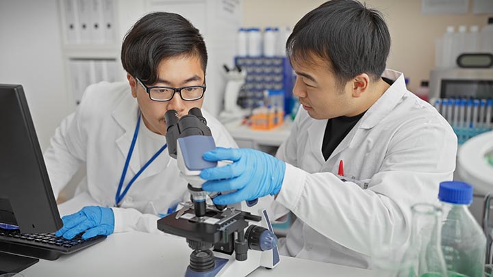 Two researchers checking at a microscope slide.