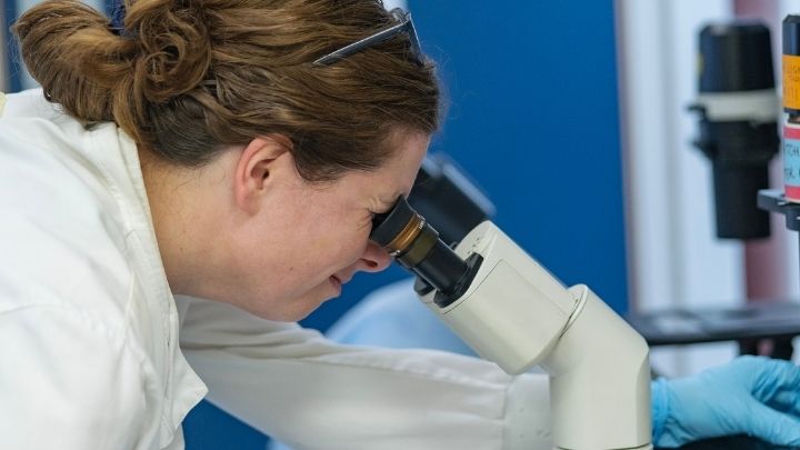 A researcher looks into a microscope in the lab and adjusts the item with their left hand