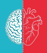 An illustration of half a brain, with a blue background, split in the middle with a heart, with a red background.