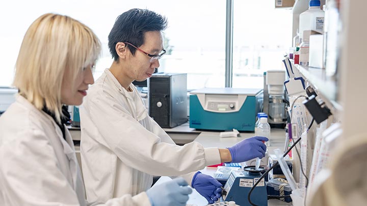 Researchers at work in a lab.