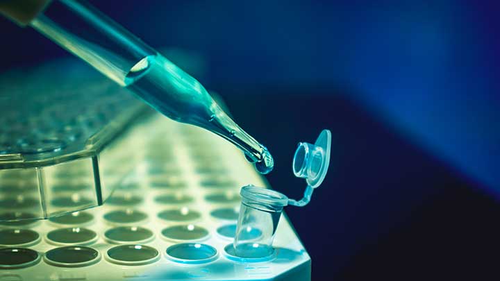 Liquid being pipetted into an aliquot.
