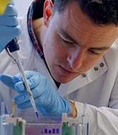 A postgraduate researcher pipetting a liquid into aliquots.